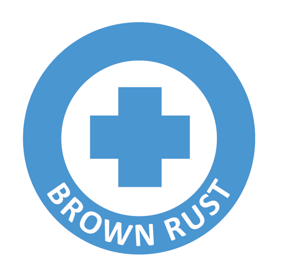 brown_rust