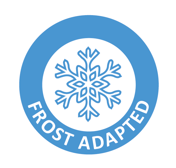 frost_adapted