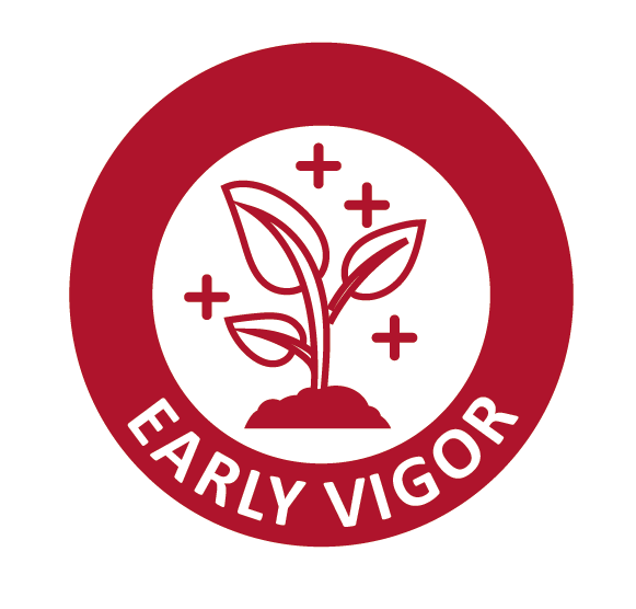 early_vigor