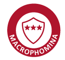 Macrophomina